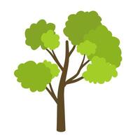 Tree with green leaves vector