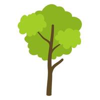 Tree with green leaves vector