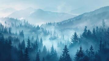 Misty landscape with spruce forest in morning in Mountains. Silhouettes of trees emerge from the fog. photo