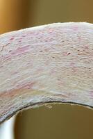 Close-up of a part of a roll of toilet paper. Vertical view photo