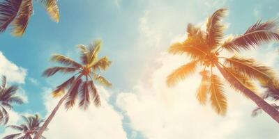 Blue sky and palm trees view from below, vintage style, tropical beach and summer background, travel concept photo