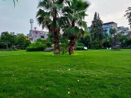 Two parallel in a society park with grass and beautiful weather in summer photo