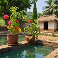 Create images of plant in Summer and birds drinking water from pot beautiful village side view photo