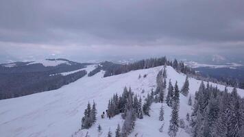 Flying over a group of tourists with backpacks in the winter mountains. Winter climbing in the Carpathian Mountains. Snowy tree branch in a view of the winter forest. Aerial footage, 4K video