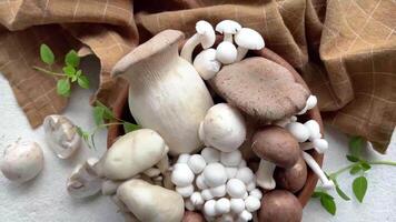 Assortment of various raw mushrooms on gray concrete background video