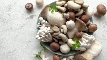 Assortment of various raw mushrooms on gray concrete background video