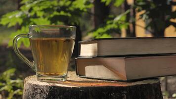A peaceful scene of a cup of tea and books resting on a tree stump in a forest setting. The sun shines through the leaves, creating a warm and inviting atmosphere. Concept of reading in nature. video