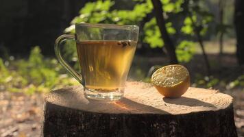 A close-up view of a glass of tea and a lemon slice on a tree stump in the forest. The sun shines through the leaves, casting a warm glow on the scene. video