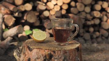 A close-up shot of a cup of tea and a lemon slice sitting on a tree stump in a forest setting. The background is a blurred shot of stacked logs. video
