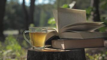 A peaceful scene of a cup of tea and an open book resting on a tree stump in a forest setting. The sun shines through the leaves, creating a warm and inviting atmosphere. Concept of reading in nature. video