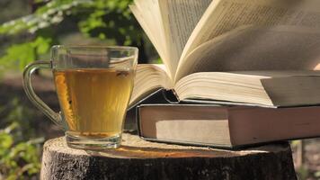 A peaceful scene of a cup of tea and an open book resting on a tree stump in a forest setting. The sun shines through the leaves, creating a warm and inviting atmosphere. Concept of reading in nature. video