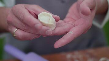 A chef holds a handmade dumpling in his hands video