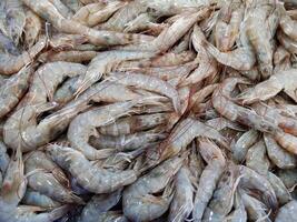 Fresh raw shrimp in a fish market. Shrimp pattern, prawn texture, seafood background photo