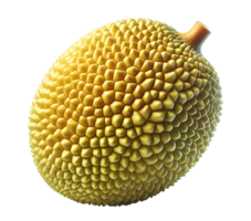 Jackfruit Jackfruit without background png