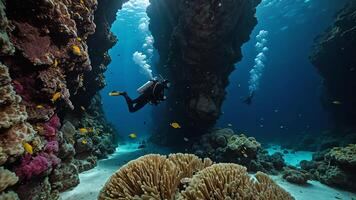 divers are exploring underwater cliff, deep sea underwater cliff views photo