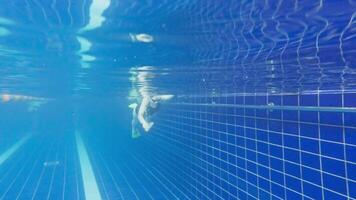 Under water view of professional female swimmer. Woman athlete swimmer training at swimming pool. Underwater view woman dives in pool. Underwater view of girl diving gliding underwater with bubbles video