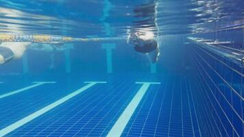 Under water view of professional female swimmer. Woman athlete swimmer training at swimming pool. Underwater view woman dives in pool. Underwater view of girl diving gliding underwater with bubbles video