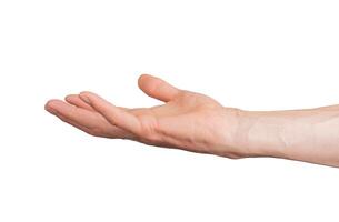 Hand palm open showing hold space empty something isolated. Finger white gesture arm thumb photo