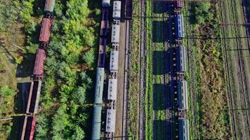 Railway Station with lots of Lines and Freight Trains video
