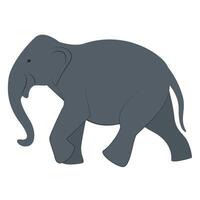 Elephant Walk Animation, 2d animation with transparent background video