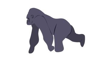 Gorilla walk cycle animation, loop animation, wild animal 2d animation video