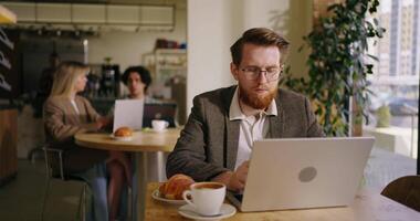 Handsome Man Surfing Internet And Typing Message In Work Chat, Portrait In Cafe In Lunch Time video