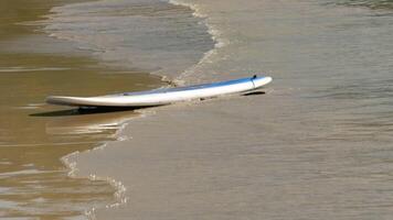 Paddle sup board on a sandy beach on resort tropical island. Rental of equipment for swimming and active water sports video