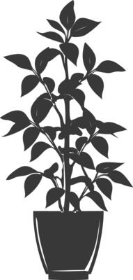 silhouette ornamental plants in pot full body black color only