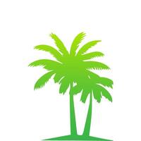 Green palm tree isolated on white background. Palm silhouette vector