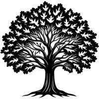 illustration of oak tree, banyan tree, maple tree, suatable for logo and etc vector