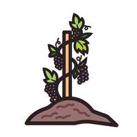 Purple grape plant colorful icon illustration with outline isolated on square white background. Simple flat cartoon art styled drawing. vector