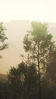 beautiful rocks with few trees at the daylight in Nepal video