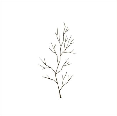 New Years Christmas hand drawn branch of tree without leaves. Watercolor illustration for decorating and designing invitations, cards, banners, wrapping paper, wallpaper
