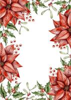New Years Christmas hand drawn watercolor illustration with poinsettia, holly branch, mistletoe and branch with berries vector