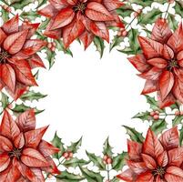 New Years Christmas hand drawn watercolor illustration with poinsettia and holly branch vector