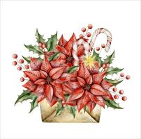 New Years Christmas hand drawn watercolor illustration with envelope, poinsettia, candy cane, holly branch and branch with berries vector