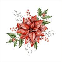 New Years Christmas hand drawn watercolor illustration with poinsettia, holly branch, branch of tree without leaves and branch with berries vector