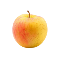 A single yellow and rad apple isolated on a transparent backgroundA single yellow and rad apple isolated on a transparent background png
