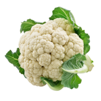A single head of cauliflower isolated on a transparent background png