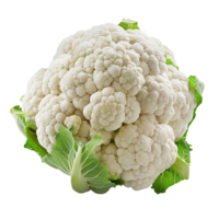 A single head of cauliflower isolated on a transparent background png