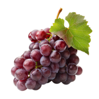 A cluster of grapes, isolated on a transparent background png