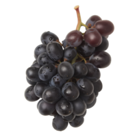 A cluster of grapes, isolated on a transparent background png