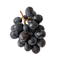 A cluster of grapes, isolated on a transparent background png