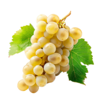 A cluster of grapes, isolated on a transparent background png