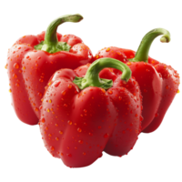 A fresh three red pepper with water droplets isolated on a transparent background png