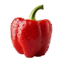 A fresh red pepper with water droplets isolated on a transparent background png