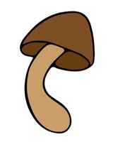 Illustration of a mushroom on a white background. vector