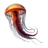jellyfish on transparent background highly detailed png