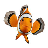 clown trigger fish on transparent background png