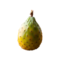 Cactus Pear isolated on transparent background png